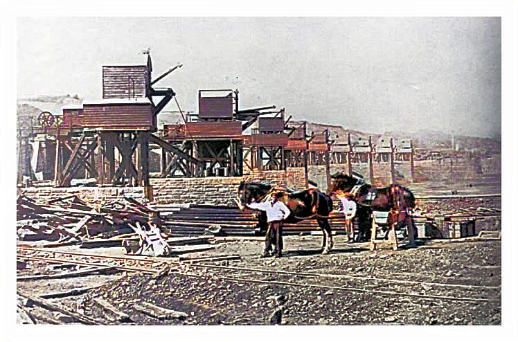 1865 - building Penarth Dock