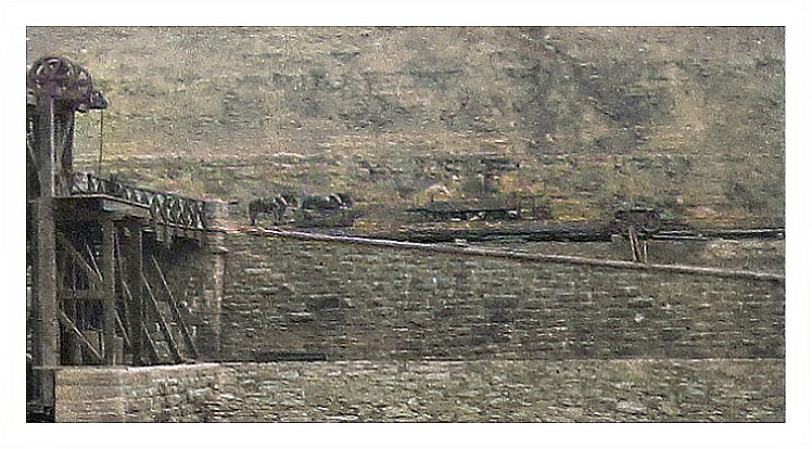 No 11 - Double coal drop in dock. 