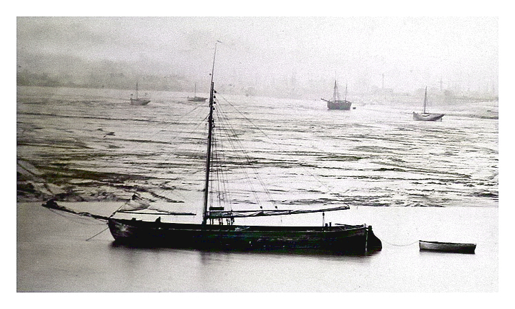 Cardiff West Mud and Low Water Pier. (from Penarth Dock Basin.) - April 14th. 1883. 