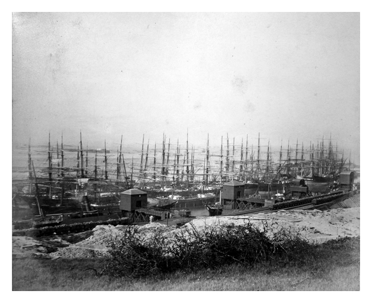 Penarth Dock. - May 23rd 1883. - From the Hill by No. 9 Tip. Cardiff Low water Pier in the distance.