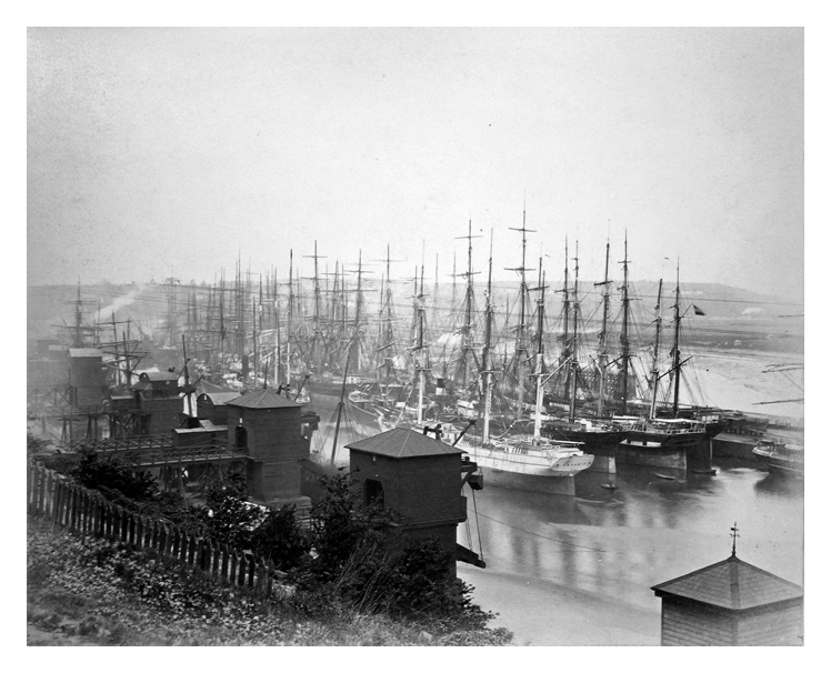Penarth Dock. - May 24th. 1883. - From the south east end. - No.1 Tip in front. 