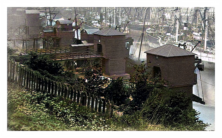 Penarth Dock. - May 24th. 1883. - From the south east end. - No.1 Tip in front. 