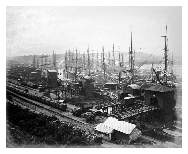 Penarth Dock. - From Hill above No.1 Tip. - June 25th. 1883. 