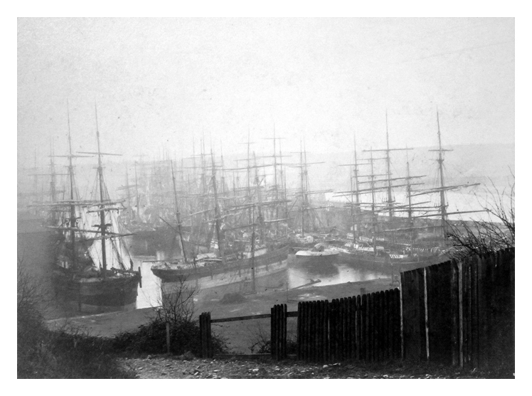 Penarth Dock. - Activity at the Dock - c.1883 - Alfred Freke, Photographer, Cardiff. 
