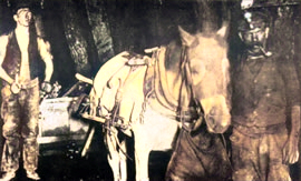 South Wales coal mine with pit pony