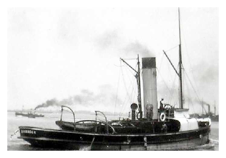 Steam tug 'Shamrock'
