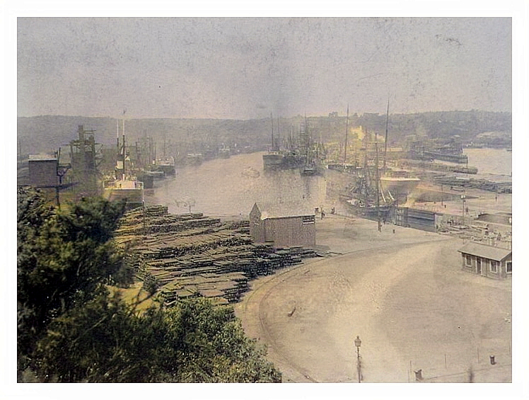 1896 - '8 light steamers in Penarth Dock waiting for tips.'
