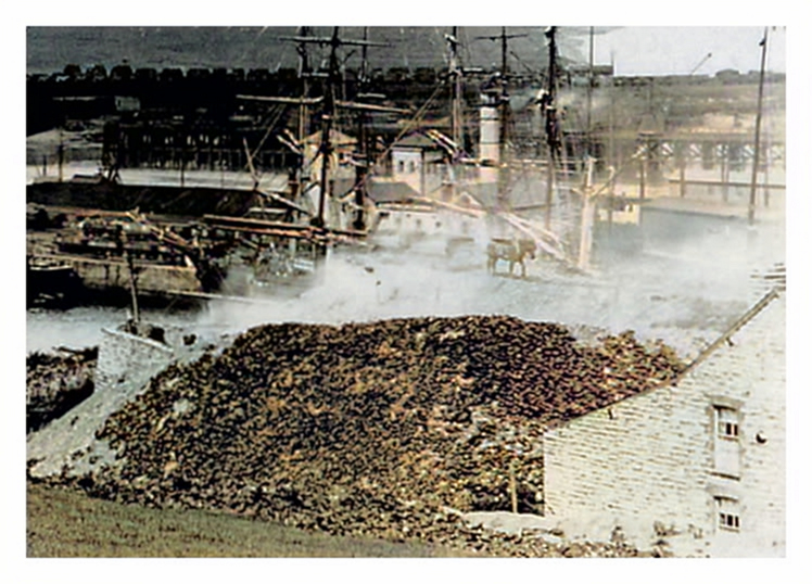 1889 - c.1891 - Penarth Dock. Depicts sailing ships, steamers, man with a pony.