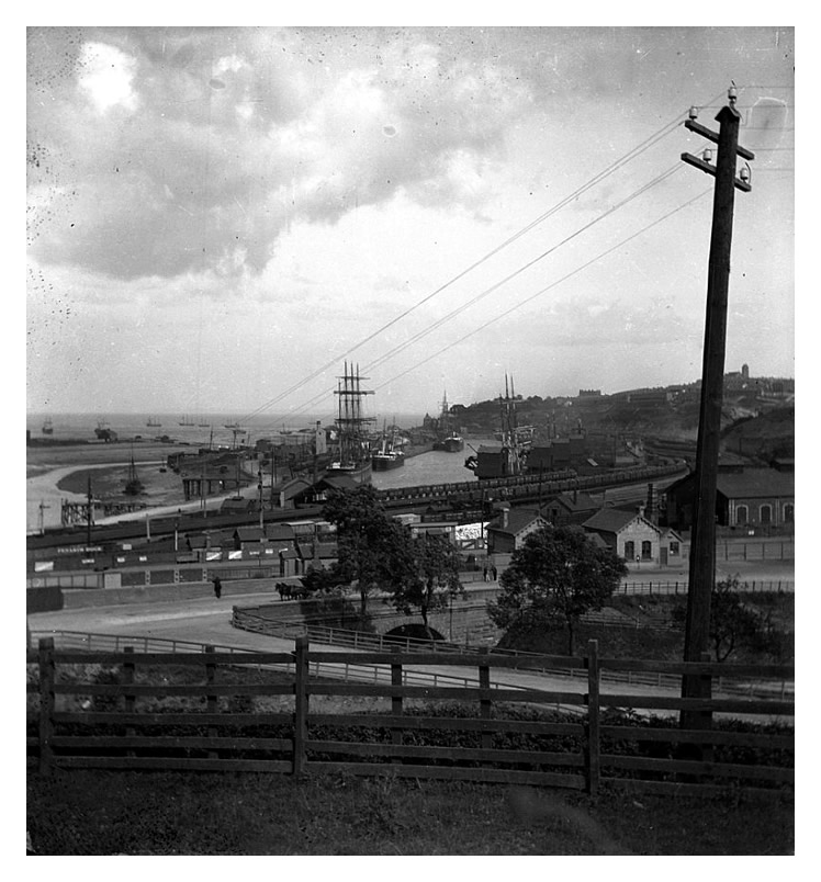 1890's - Penarth Dock, negative.