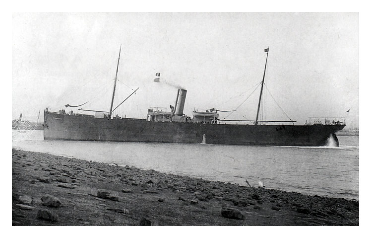 s.s. 'Weraggio' making her way into Penarth Dock with engines astern during July 1908.