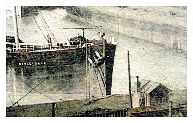 Penarth Dock - Darleydale ladder