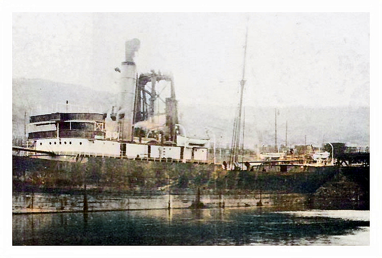 'Italiana' - Hall Line