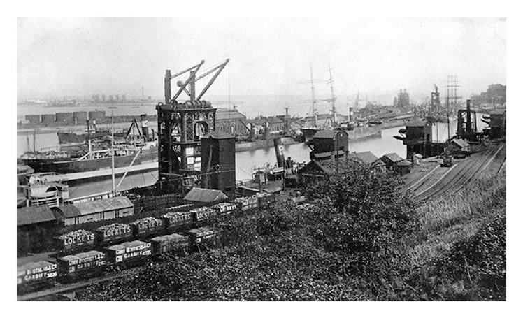 The general view of Penarth Docks from the escarpment on the southern side.