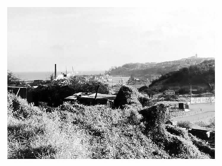 c.1959 - Another view of Penarth Dock with Penarth Head to the right taken from above Cogan Station.