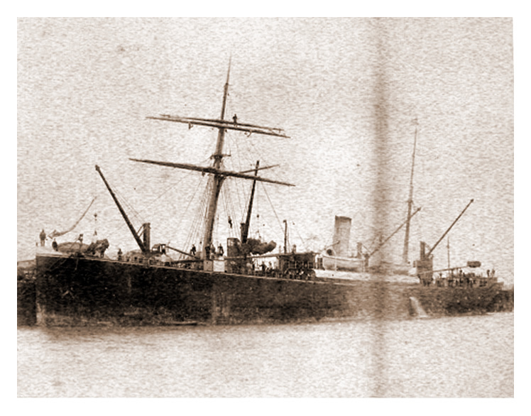s.s. 'Castle Eden' 350 feet, Net Tonnage 1,555 at Victoria Wharf, South Wales Public Wharf, Warehouse and Transit company, Limited, Cardiff. August 1888. 