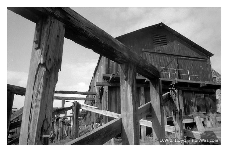 The imposing timbers from the old dolphins and quays of the River Ely Tidal Harbour.