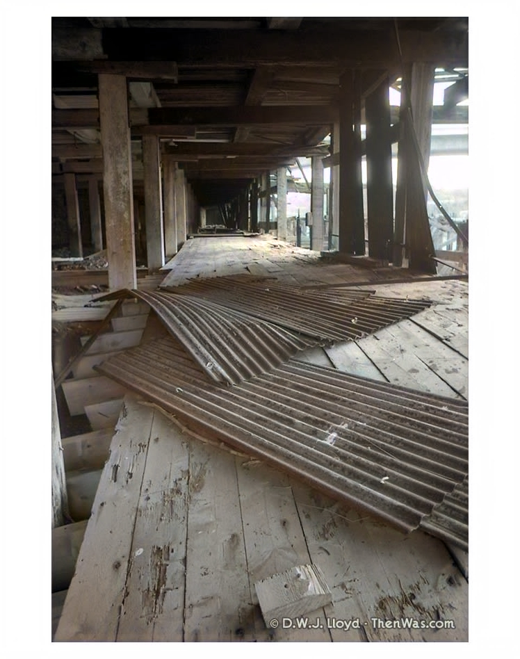 The collapsing pathway underneath the black corrugated iron warehouse.