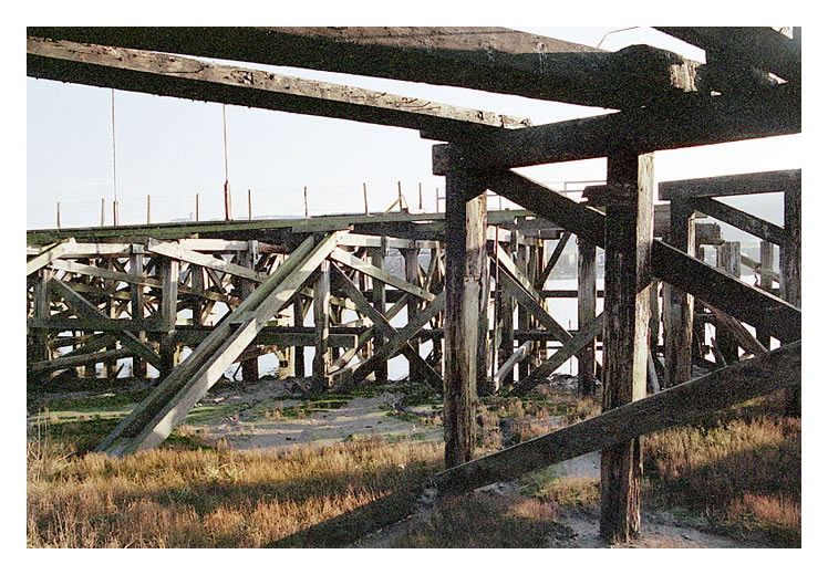 Remants of the Iron Ore Wharf in the River Ely Tidal Harbour, Penarth Dock