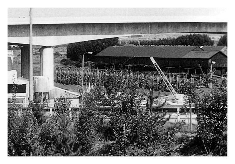 Enlargement - Victoria Wharf of the Ely Tidal Harbour