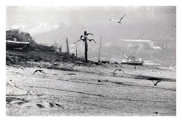 An early c.1980's view of the muddy shoreline of the River Ely looking upstream with the gulls scavenging for food.