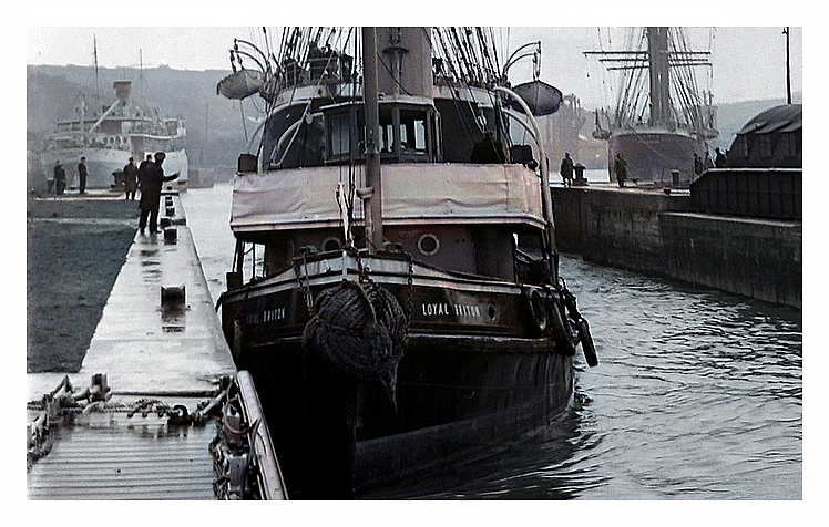1950 - The tug 'Loyal Briton' which was used in berthing 'Passat' in the lock between the Penarth Dock basin and main dock.