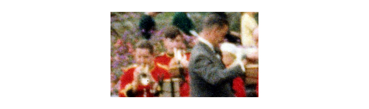 Excelsior Ropes Works Band at Penarth Italian Gardens