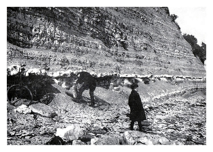 Penarth Head