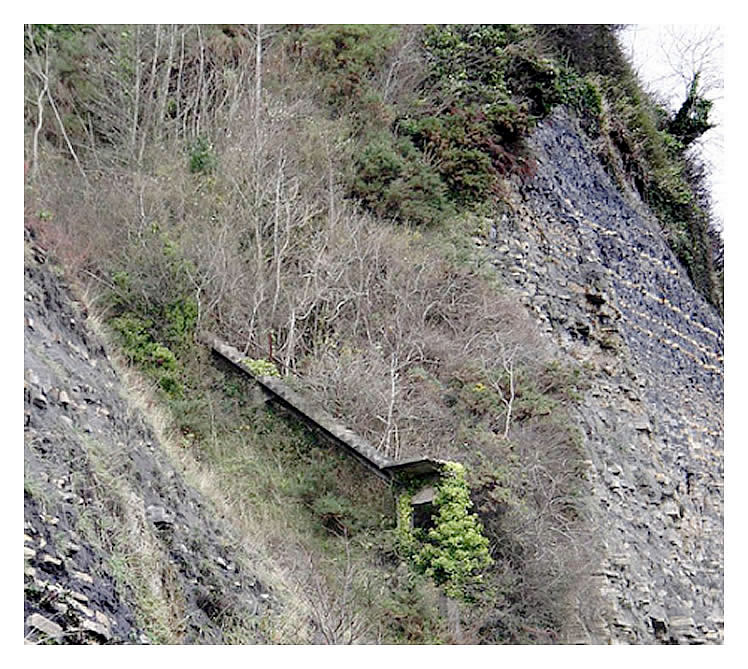 Penarth Head steps