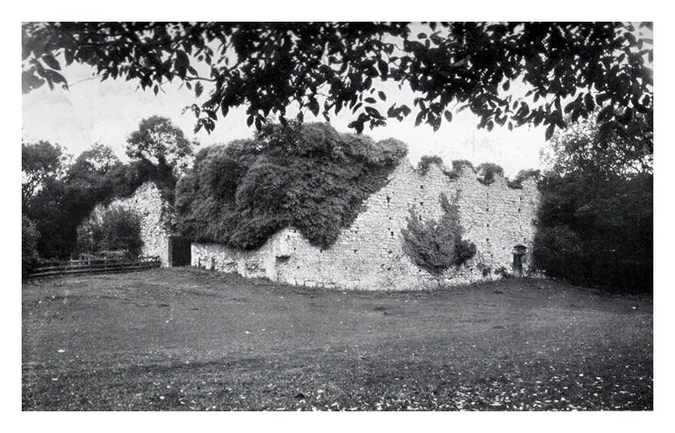 Dinas Powis Castle.