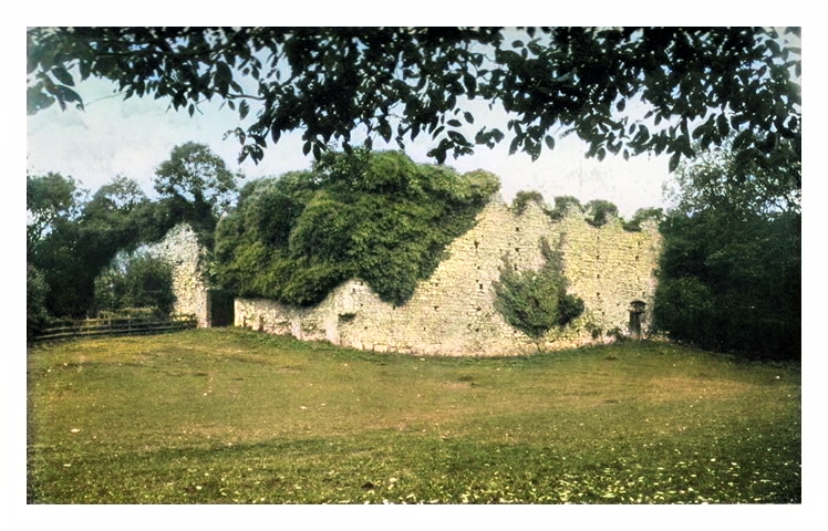 Dinas Powis Castle.