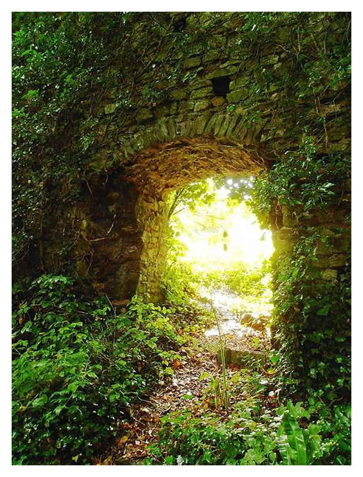 Dinas Powis Castle - The doorway from without.