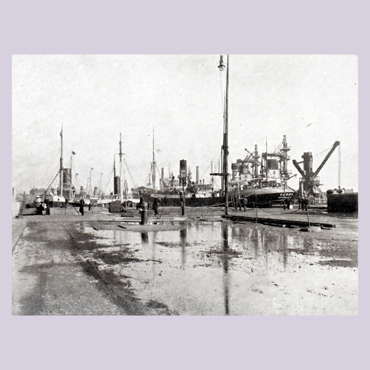 Cardiff Docks from 107 Views of Cardiff and District