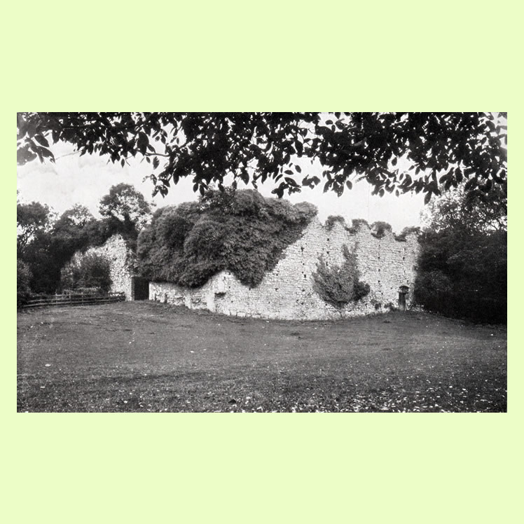 Dynas Powis Castle from 107 Views of Cardiff and District
