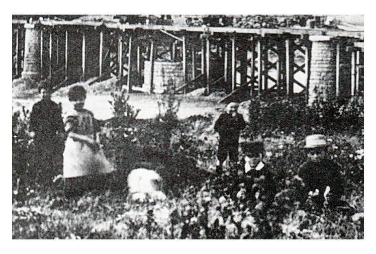 c.1866 - Another photograph of the River Taff Swing Bridge under construction