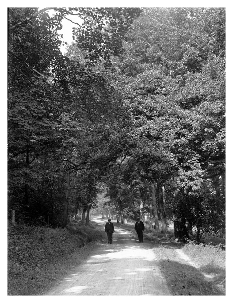 Porthkerry Park, Barry.