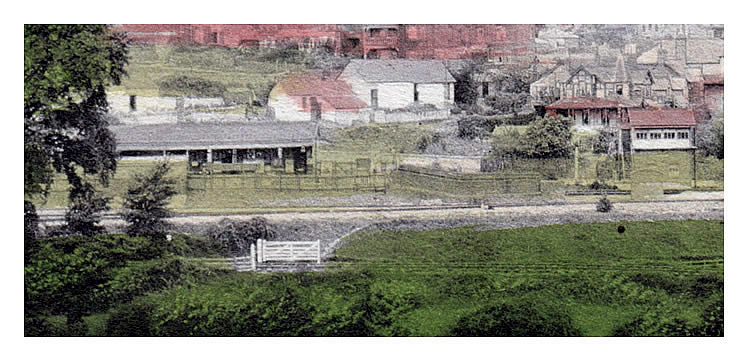 Dinas Powis from Wellwood Drive.
