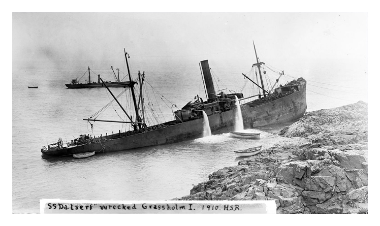s.s. 'Dalserf' wrecked Grassholm 1910.