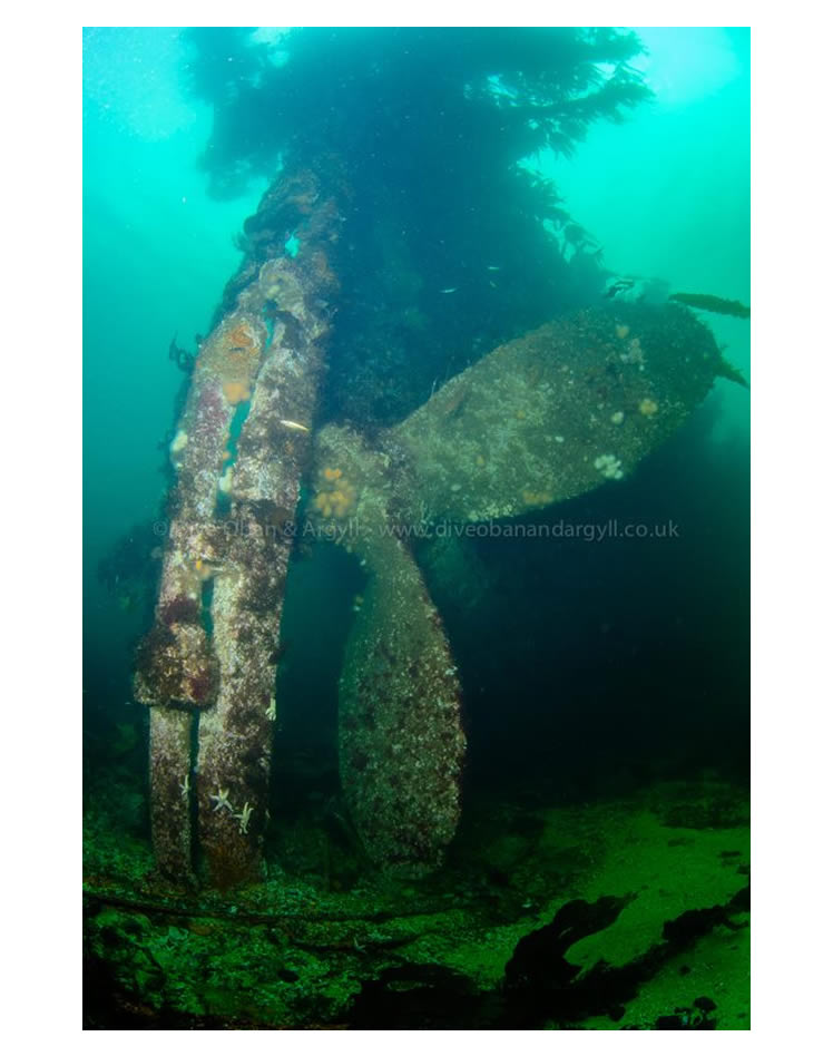 Props seen from the starboard side on the s.s. 'Meldon' .