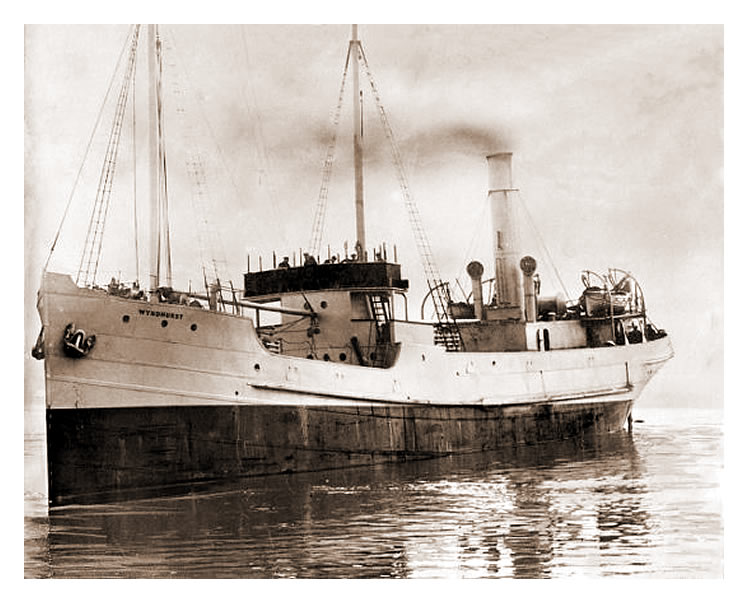 s.s. 'Wyndhurst'.