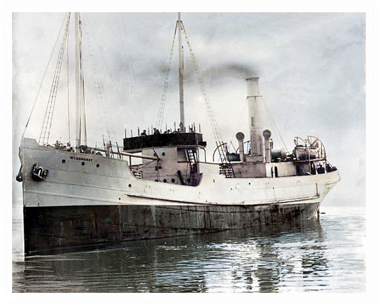 s.s. 'Wyndhurst'.