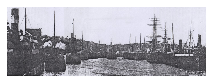 General View of Penarth Dock.