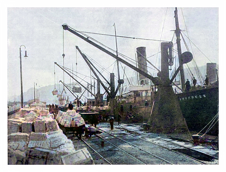 Steamer Discharging Pulp.