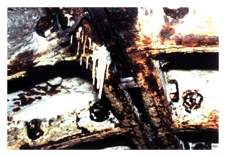 Plate 3/10 - Ring 140 - First stalactites found in Subway crown. 