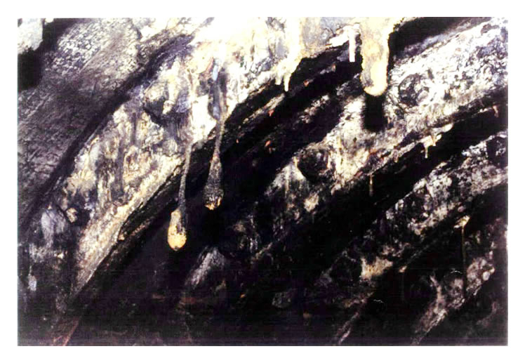 Plate 3/17 - Ring 501 - Upper left segment. Stalactites.