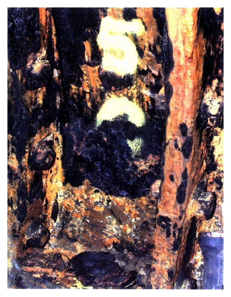 Plate 3/22 - Ring 650 - Middle right segment. Typical surface lamination of cast iron lining.