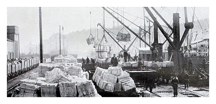 Discharging Pulp at Penarth Dock : from s.s. 'Progress'.
