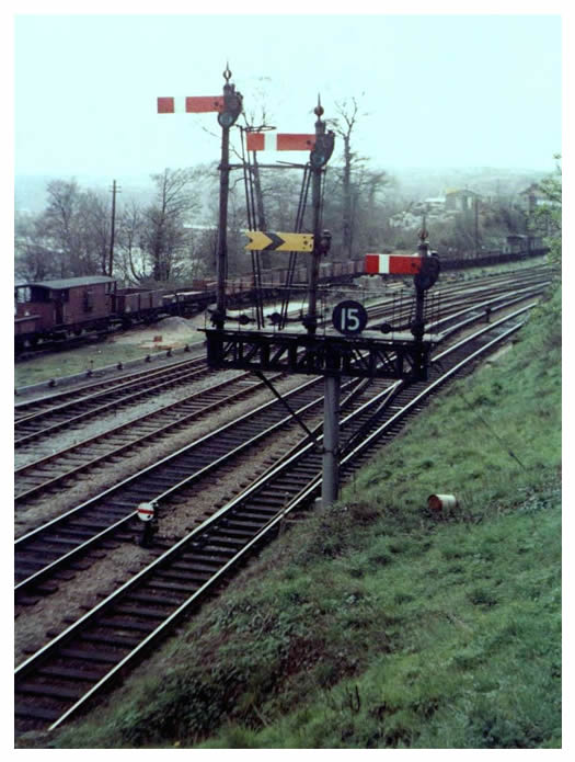 1965- Between Cogan Junction & Llandough signal boxes with views of the River Ely and Penarth Dock through the trees. 