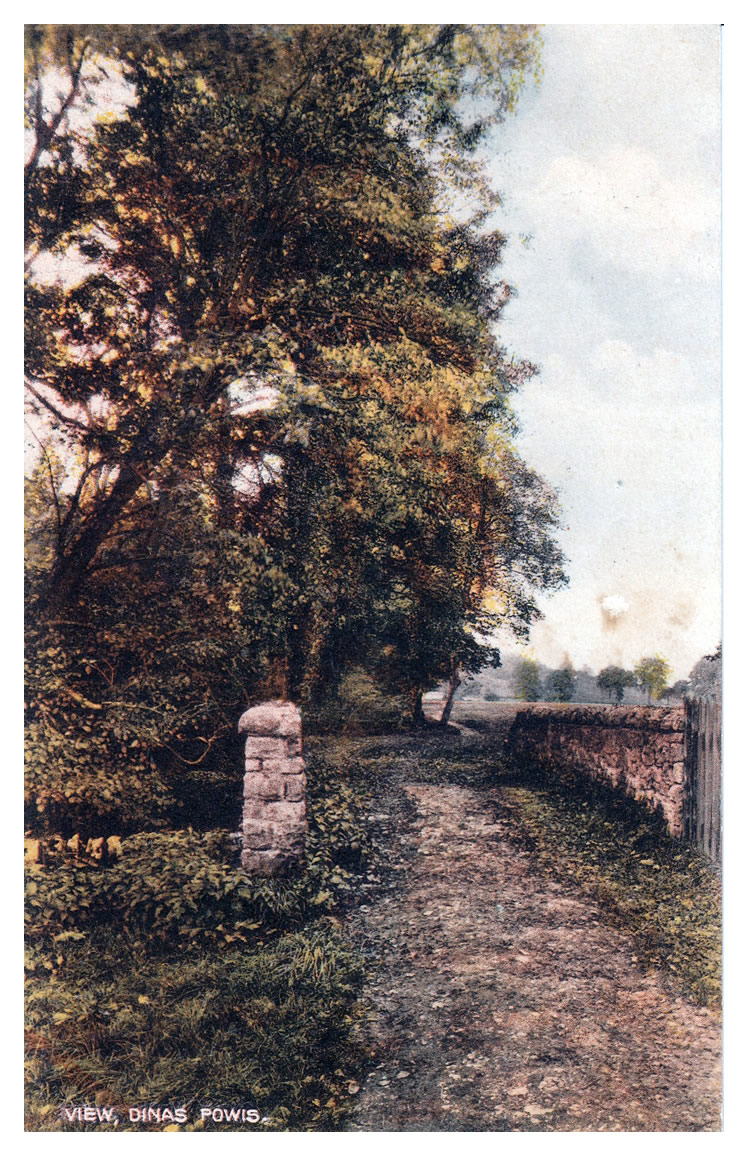 View, Dinas Powis.