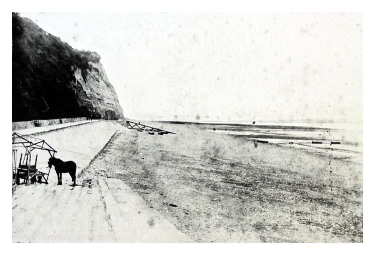 A view along the beach towards Penarth Head from the Esplanade showing Bute Docks, Entrance Channel and Cardiff Mud-flats during May 1894.