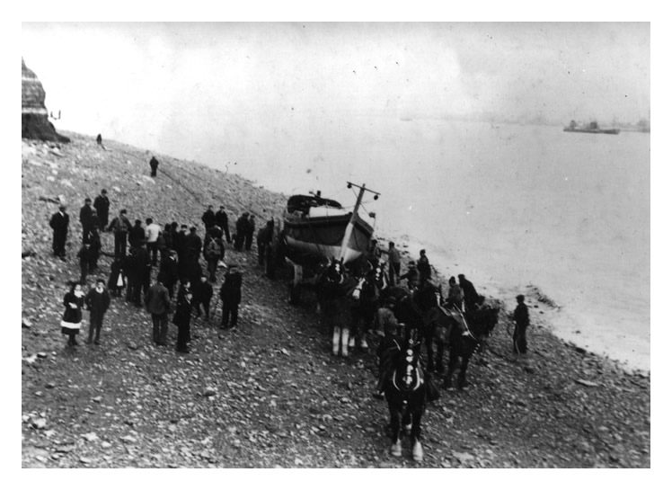 A photograph of Horses Hauling the Joseph Denman circa 1881.